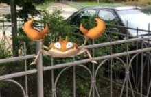 Poszukują trenera pokemonów!