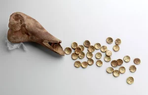 Złote monety sprzed 2 tys lat znalezione w... krowiej kości! (GALERIA)