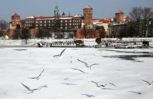 Kraków: zmarł mężczyzna, który wpadł pod lód do Wisły