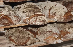 Co robić z suchym chlebem? | napoletatu