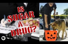 Czy cukier działa jak narkotyk?