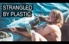 Gościu ratuje cztery żółwie morskie z sieci i plastiku