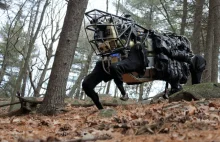 Google kupiło firmę Boston Dynamics, twórcę m. in. robota Black Dog. [Eng.]