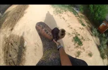 Słonik pomaga człowiekowi podnieść kamerę