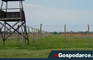 Skandal! Austriacy sprzedają działki w obozie koncentracyjnym