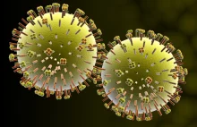 Szczepienia przeciw grypie u kobiet w ciąży - Portal Zdrowia Seksualnego