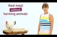 SuperMeat - mięso bez zabijania zwierząt.