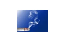 Tytoniowy nałóg sponsoruje fiskusa - Finanse - WP.PL