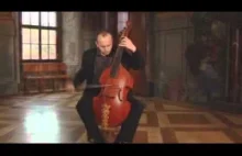 Viola da gamba - niebiański instrument
