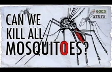 Czy powinniśmy unicestwić WSZYSTKIE komary?