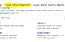 Bankier.pl - polskim portalem finansowym?
