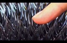 Bardzo mocny magnes i ferrofluid