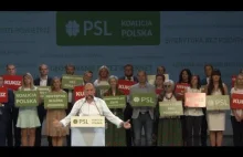 KABARET polskiej sceny politycznej.Wspólna Konwencja PSL-Kukiz'15