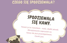 Facebook. Mały, słodki piesek edukuje Polaków w temacie gwałtu