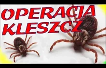 Operacja kleszcz