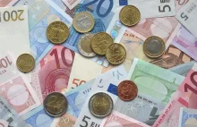 Firmy chcą euro zamiast złotego. Choć nie wierzą w szybka wymianę