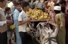 Pakistan: protestujący przeciwko Asii Bibi okradają chłopca sprzedającego banany