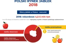 Polscy sadownicy mogą mieć problem z nadprodukcją - Rynek Inwestycji