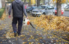 Poszli na wojnę z dmuchawami do liści. "Smrodzą, a hałas jest nie do zniesienia"