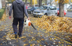 Poszli na wojnę z dmuchawami do liści. "Smrodzą, a hałas jest nie do zniesienia"