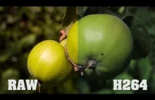 RAW vs H264 Magic Lantern Canon 600D