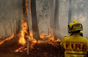 Australia walczy z pożarami. Ogłoszono stan wyjątkowy