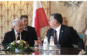 Orban i Kaczyński z największym poparciem w Europie