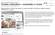 Polska mentalnie analogowa - blogi użytkowników portalu