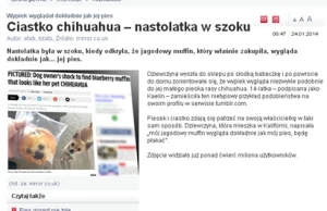 Polska mentalnie analogowa - blogi użytkowników portalu