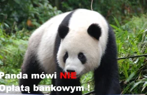 Konto bankowe bez opłat