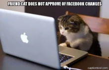 A czy twój kot ma już konto na facebooku?