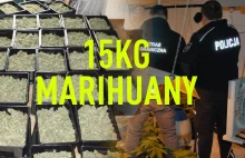 15kg marihuany oraz uprawa w domu w Mysłowicach [VIDEO] - Cannabis News