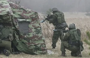 Świat się zbroi a Litwini… zakładają wegetariańską jednostkę wojskową!