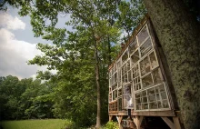 Nietypowa leśna chatka - dom z okien