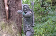 Spotkaj Robin Hooda, czyli Las Sherwood
