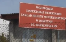 24 tony zainfekowanego mięsa drobiowego trafi na polski rynek