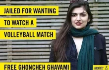 Rok więzienia dla kobiety za chęć obejrzenia meczu siatkówki mężczyzn