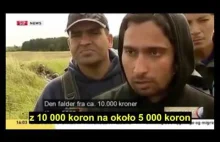 Uchodźcy: chcemy do Szwecji po ich pieniądze