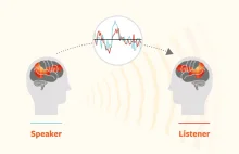 Jak nasze mózgi pracują podczas rozmowy?