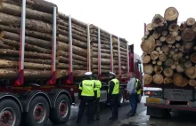 Transport drewna pod lupą. Rekordzista przeładowany o 11 ton