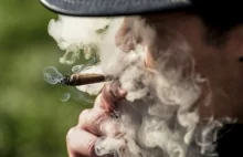 Palenie marihuany zwiększa ilość spermy
