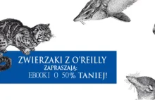 Polskie e-booki informatyczne w promocji za 50% tylko do środy