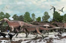 Odkryto największego upierzonego dinozaura