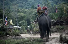 Jazda na słoniu w Azji - co powinieneś wiedzieć...