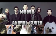 Linkin Park - Numb - w wersji jakiej nie znacie! ( ͡º ͜ʖ͡º)