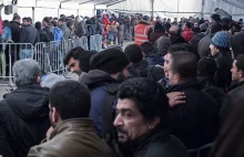 Niemcy: Plan dla Syrii i Iraku. Za kasę państw, które nie przyjmują uchodźców.