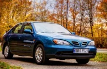 Festelnie gryfny Nissan Primera P11 łod Ślonzoka