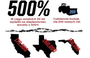 Więziennictwo w USA