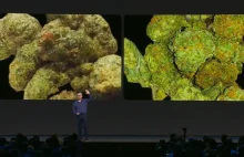 Sztuczna inteligencja Facebooka odróżni marihuanę od brokułów
