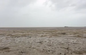 Zaskakujące skutki huraganu Irma. Ocean dosłownie zniknął